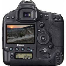 need a private investigator in Los Angeles